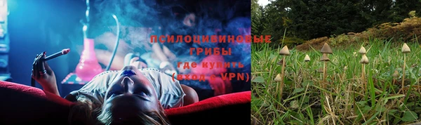 соль курить ск Алексеевка